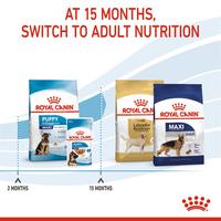 Gambar Royal Canin Maxi Puppy (10kg) Dry Makanan Anak Anjing - Size Health Nutrition dari Sinar Petstore Medan undefined 2 Tokopedia