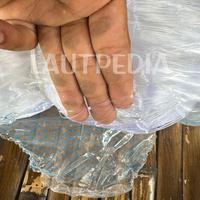 Gambar Arida Jaring ikan 0.38 2.1/2” 350 MD x 1000 ML dari LAUTPEDIA undefined 3 Tokopedia