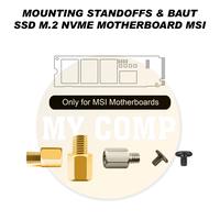 Gambar Baut Skrup + Dudukan Standoff M.2 Motherboard MSI SSD M2 Nvme Screw + Mounting Standoffs dari MY COMPUTER STORE undefined 1 Tokopedia