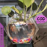 Gambar Hiasan Dinding Hexagonal Aquarium Tempel untuk Vas Bunga + Ikan diameter Besar 20cm dari Heri Vertinilam undefined 2 Tokopedia