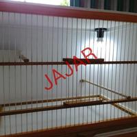 Gambar BOX KANDANG BREEDING, TERNAK KENARI BONGKAR PASANG BERKUALITAS dari jadoelsubak undefined 2 Tokopedia