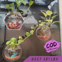 Gambar Hiasan Dinding Hexagonal Aquarium Tempel untuk Vas Bunga + Ikan diameter Besar 20cm dari Heri Vertinilam undefined 4 Tokopedia
