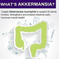 Gambar IMPORT AKKERMANSIA PROBIOTICS BACILLUS SUBTILIS CONTAINING VITAMIN B2, D3, AND CHROMIUM - WEIGHT AND GUT MANAGEMENT - 3bottle dari Reymund shop undefined 2 Tokopedia