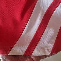 Gambar Nike Jersey Timnas Indonesia Piala Asia 2007 Original Size XL Excellent dari Lemarimaswhy undefined 5 Tokopedia