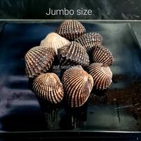 Gambar kerang dara - Jumbo 500gr dari asfseafood undefined 1 Tokopedia
