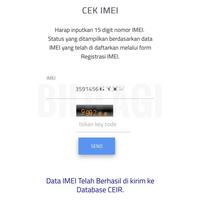 Gambar Gopix 9 5G 12+128GB 256GB Google Tensor G4 - Global ROM - PEONY, 12/128GB dari Toko Keliling New undefined 2 Tokopedia