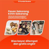 Gambar Bibit tanaman herba pohon hanjeli jali jali dari Sundabuana undefined 5 Tokopedia