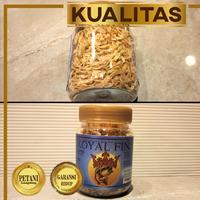 Gambar Udang Kering Makanan Ikan Hias Predator Merek Royal Fins Pakan Kura Kura Aquarium Aquascape Tanaman Air dari renbodash undefined 2 Tokopedia