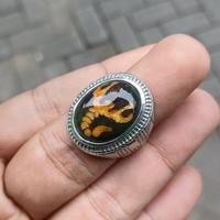 Gambar CINCIN BATU AKIK EDONG PANCAWARNA MOTIF SCORPIO ORIGINAL - 8 dari Dapper Martz undefined 3 Tokopedia