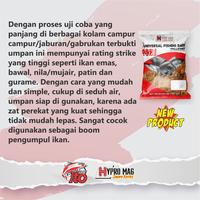 Gambar Umpan pancing Hypromag pelet Universal fishing bait dari DjempoldanPelangi undefined 3 Tokopedia