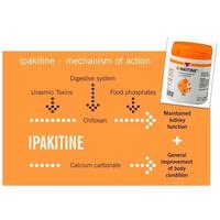 Gambar Ready Ipakitine Obat Gagal Ginjal Kucing Anjing Cat Urinary Sakit Susah Gangguan Kencing Batu Muntah Diare Mencret Lemas Keracunan Ampuh Ipakitin Termurah dari Rkzm Poesat undefined 4 Tokopedia