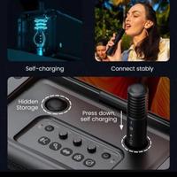 Gambar IKARAO Break X1 Premium Portable Wireless Audio Machine 13.3inch Smart Speaker Karaoke Bass Party Box 800W - Wireless Mics Bluetooth Wifi dari Dinasti audio 13 undefined 4 Tokopedia