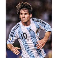 Gambar Jersey Timnas Argentina Home 08/09 2nd Lionel Messi #10 Very RARE Original dari Otelloshop77 undefined 2 Tokopedia