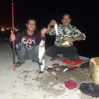 Gambar Rangkaian pancing dasaran timah bawah 1 kail ( senar flurocarbon) dari BSW_Variation undefined 5 Tokopedia