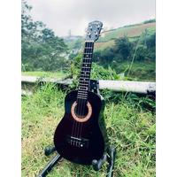 Gambar NEW ukulele senar 4 Gratis PACKING KAYU AMAN DAN PICK LENGKAP Seri 10 - Biru tosca dari VELOCITY COMPANY undefined 3 Tokopedia