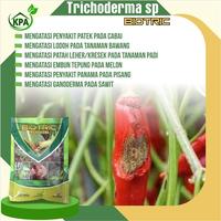Gambar Fungisida Organik Atasi Busuk Akar Batang Daun-Biotric Trichoderma 1kg dari kampungputraagro undefined 5 Tokopedia