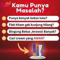 Gambar [BIO HERBAL] MEILIBAHENLING SALEP PENGHILANG BEKAS LUKA dari Lumigroup undefined 5 Tokopedia