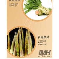 Gambar [HALAL] Enoki Mushroom Jamur Asparagus Lettuce Selada Bamboo Shoot Tip Ujung Bambu snack cemilan cina pedas Instant makanan siap saji halal IMH 016 017 018 - Enoki Mushroom dari TOKO SUMEH MESEM undefined 2 Tokopedia