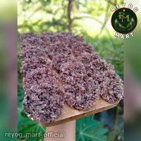 Gambar RENGGINANG KETAN KRECEK KRUPUK GURIH CEMILAN OLEH OLEH dari REYOG MART undefined 2 Tokopedia