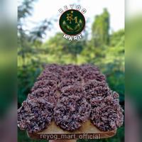Gambar RENGGINANG KETAN KRECEK KRUPUK GURIH CEMILAN OLEH OLEH dari REYOG MART undefined 1 Tokopedia