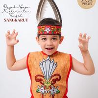 Gambar BAJU ADAT ANAK DAYAK NGAJU KALIMANTAN TENGAH LAKI LAKI dari naylzy undefined 4 Tokopedia