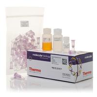 Gambar GeneJET Gel Extraction Kit | Thermo Scientific K0691 dari Deolabora undefined 1 Tokopedia