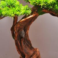 Gambar Tanaman Hias Bonsai Jepang / Artificial Decor Tree 1116/27 dari Guci Keramik Store undefined 2 Tokopedia