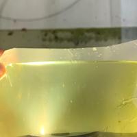 Gambar kutu air Daphnia Magna pakan ikan dari andai galery undefined 2 Tokopedia