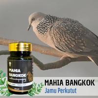 Gambar MAHIA BANGKOK - Multivitamin untuk Perkutut, Tekukur, Dekukur, Katuranggan, Lokal Jadi GACOR Manggung Merdu, Jernih dan Bersih Tiap Hari dari Strigi Store undefined 1 Tokopedia