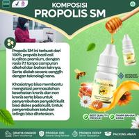 Gambar Obat Bisul Di Pantat Tangan Kaki Leher Ketiak Dan Di Area Kemaluan Pria Dan Wanita Bisul Pada Bayi Anak Herbal Propolis SM dari AZKIA STOREZ undefined 1 Tokopedia