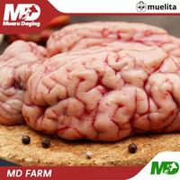 Gambar MD FARM Grassfed Otak Sapi Utuh - BEEF BEBAS Hormon & Antibiotik dari Muelita undefined 1 Tokopedia
