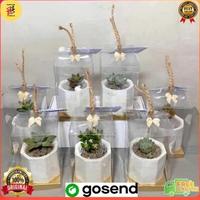 Gambar sv Tanaman Hidup Souvenir Kaktus Suculen ulang tahun Pernikahan Sekolah Hadiah back to school Souvenir Lucu Unik Hampers Kaktus mini Free Kartu Ucapan nr dari Gudang Mart Official undefined 1 Tokopedia