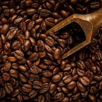 Gambar kopi hitam khas bandar lampung dari cio_wheels undefined 1 Tokopedia