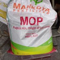 Gambar Terbaru Pupuk Kcl Mahkota Mop 1 Kg Original Kualitas Premium dari Morena ID undefined 2 Tokopedia