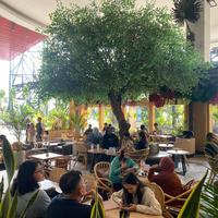 Gambar Pohon Hias Besar Beringin Artificial - Pohon Dekorasi Cafe - Pohon Plastik Ruangan dari Mega Kreasi Artificial Custom undefined 2 Tokopedia