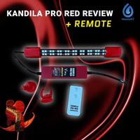 Gambar LAMPU LED VIEW KANDILA PRO RED REMOTE AQUARIUM IKAN AROWANA / ARWANA / KOKI - PVC, KD 400R dari Noasis Jakarta undefined 2 Tokopedia
