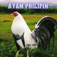 Gambar TELUR AYAM PHILIPIN ASLI AK47 BISA UNTUK DI TETASKAN VERTIL ORI dari SunStory1 undefined 1 Tokopedia