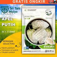 Gambar 0K - BENIH PARE APEL PUTIH BERKUALITAS KEMASAN PABRIK-STM dari cortodro store undefined 1 Tokopedia