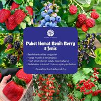 Gambar PAKET HEMAT - Benih Buah Berry Berries Fruit 8 Jenis Seeds - Total 40 Biji - Bibit Strawberry Blueberry Raspberry Cranberry Goji Berry Blackcurrant Blackberry dari Official Casa undefined 1 Tokopedia