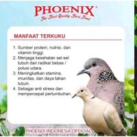 Gambar PHOENIX TERKUKU PAKAN MAKANAN HARIAN BURUNG PERKUTUT DERKUKU PUTER DARA PELUNG dari HengkyEbodJaya undefined 2 Tokopedia