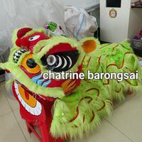 Gambar barongsai atraksi viral model dan bahan  asli dari barongsai dewasa bisa 2 0rang ekor panjang lebar dari chatrine barongsai undefined 2 Tokopedia