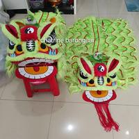 Gambar barongsai atraksi viral model dan bahan  asli dari barongsai dewasa bisa 2 0rang ekor panjang lebar dari chatrine barongsai undefined 3 Tokopedia