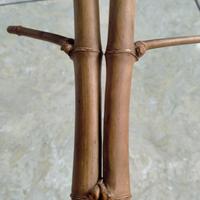 Gambar BAMBU UNIK DAMPIT PATIL LELE RUAS SEJAJAR 3 WOW SANGAT ISTIMEWA BOS  (50 CM) dari Jenggala Shop 18 undefined 4 Tokopedia
