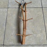 Gambar BAMBU UNIK DAMPIT PATIL LELE RUAS SEJAJAR 3 WOW SANGAT ISTIMEWA BOS  (50 CM) dari Jenggala Shop 18 undefined 5 Tokopedia