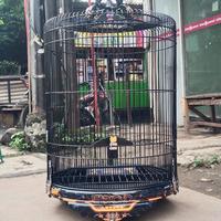 Gambar Sangkar burung murai no 2 Ebod luxury water decal  terlaris dari Evanosangkar undefined 3 Tokopedia