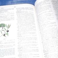 Gambar elementary dictionary merriam webster dari kasetpitajadulori99 undefined 3 Tokopedia