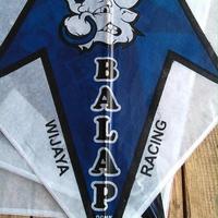 Gambar LAYANGAN SUKHOI SAPI BALAP ORIGINAL BY OONK ISI 10 PCS dari Tokokellontong undefined 2 Tokopedia