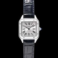 Gambar Cartier Santos Dumont Large Ref: Wssa0022 Watch / Jam dari IDN Watch Indonesia undefined 1 Tokopedia