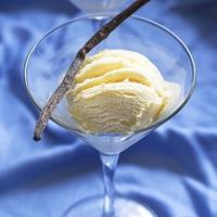 Gambar TFA Vanilla Bean Ice Cream Flavor - 10ml dari Universal Flavours undefined 2 Tokopedia