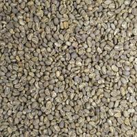 Gambar Green Bean Kopi Arabika Aceh Gayo Semi Wash - 1 Kg - 1 KG dari Yunsi BabyStore undefined 2 Tokopedia